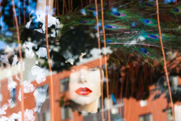  WernerHaug_photographys