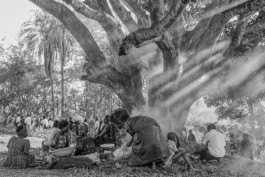  WernerHaug_photographys