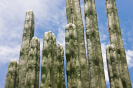 WernerHaug_photographys