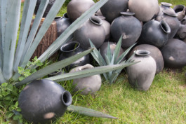 WernerHaug_photographys