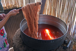 WernerHaug_photographys