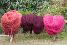 WernerHaug_photographys