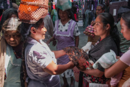 WernerHaug_photographys