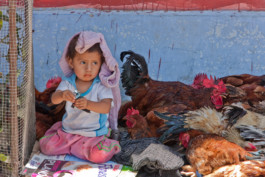 WernerHaug_photographys