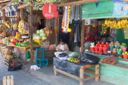 WernerHaug_photographys