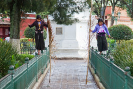 WernerHaug_photographys