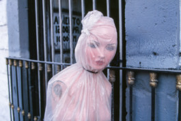 WernerHaug_photographys