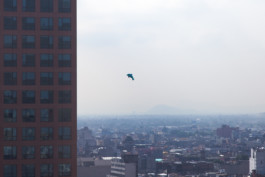 WernerHaug_photographys