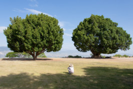  WernerHaug_photographys