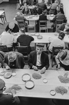 WernerHaug_photographys