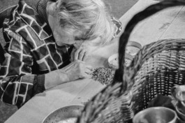 WernerHaug_photographys