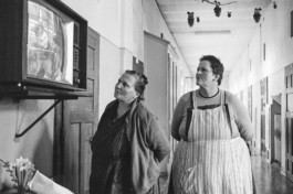 WernerHaug_photographys