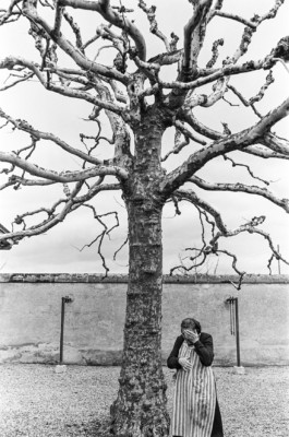 WernerHaug_photographys