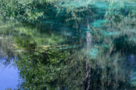 WernerHaug_photographys