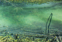 WernerHaug_photographys