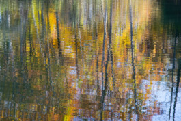 WernerHaug_photographys