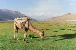 WernerHaug_photographys