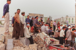 WernerHaug_photographys