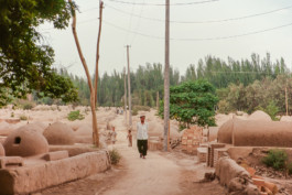 WernerHaug_photographys