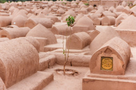 WernerHaug_photographys