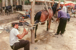 Memories of a vanished world WernerHaug_photographys