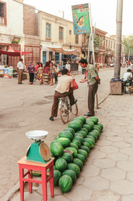 WernerHaug_photographys