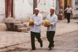 WernerHaug_photographys