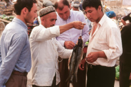 WernerHaug_photographys