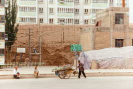 WernerHaug_photographys