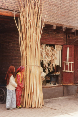 WernerHaug_photographys