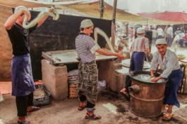 WernerHaug_photographys