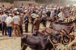 WernerHaug_photographys