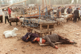 WernerHaug_photographys