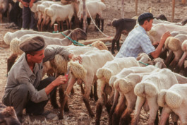 WernerHaug_photographys