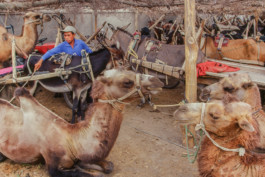 Memories of a vanished world WernerHaug_photographys