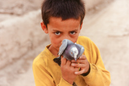 Memories of a vanished world