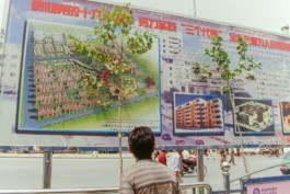 WernerHaug_photographys