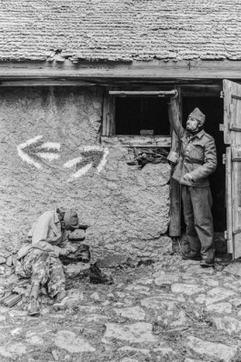 WernerHaug_photographys