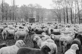 WernerHaug_photographys