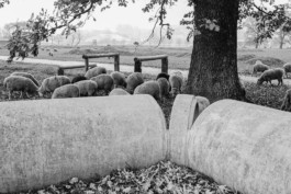 WernerHaug_photographys