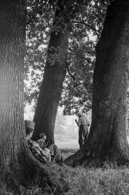 WernerHaug_photographys