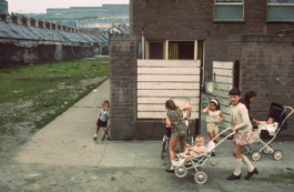 WernerHaug_photographys