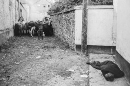 WernerHaug_photographys