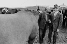 WernerHaug_photographys