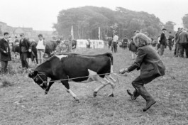 WernerHaug_photographys