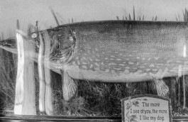 WernerHaug_photographys