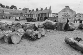 WernerHaug_photographys