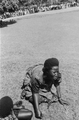 WernerHaug_photographys