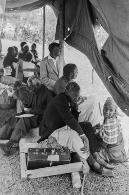 WernerHaug_photographys