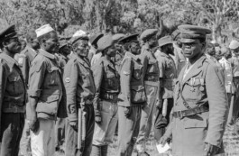 WernerHaug_photographys